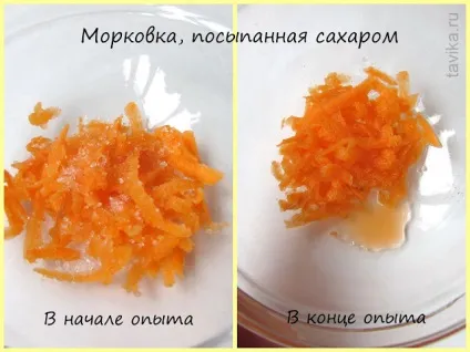 Як рослини п'ють досліди з рослинами (рослинами) Як рослини п'ють досліди з рослинами