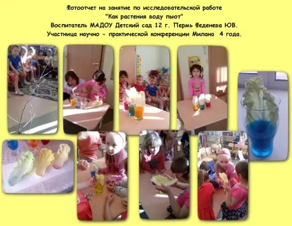 Як рослини воду п'ють - дошкільна освіта, уроки (воду) Як рослини воду п'ють - дошкільна освіта, уроки