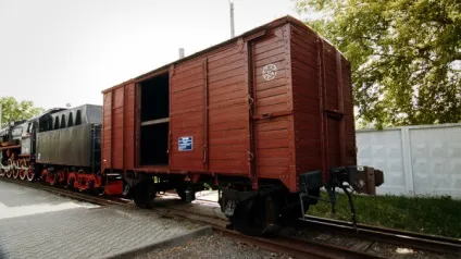 Оздоблення стін вагонкою в будинку відео-інструкція як обробити своїми руками, інтер'єри, фото (обробити) Оздоблення стін вагонкою в будинку відео-інструкція як обробити своїми руками, інтер'єри, фото