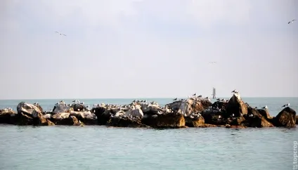 Острів ки вест (key west) в штаті флорида фото (флорида) Острів ки вест (key west) в штаті флорида фото