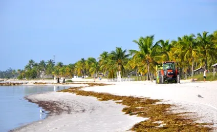 Острів ки вест (key west) в штаті флорида фото (фото) Острів ки вест (key west) в штаті флорида фото