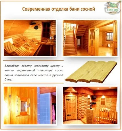 Оздоблення парної в лазні своїми руками поетапно, кріплення вагонки, фотозвіт (своїми) Оздоблення парної в лазні своїми руками поетапно, кріплення вагонки, фотозвіт