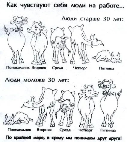 Від чого залежить працездатність людини, без знань немає успіху (секрети успіху) Від чого залежить працездатність людини, без знань немає успіху