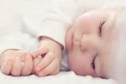 шанси еко