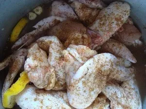 Шашлик зі свинини і курки, приготуй-ка сам! (Шашлик зі свинини і курки) Шашлик зі свинини і курки, приготуй-ка сам!