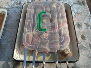Шашлик зі свинини і курки, приготуй-ка сам! (Свинини) Шашлик зі свинини і курки, приготуй-ка сам!