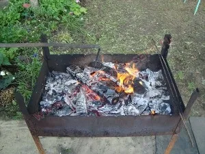 Шашлик зі свинини і курки, приготуй-ка сам! (Шашлик) Шашлик зі свинини і курки, приготуй-ка сам!