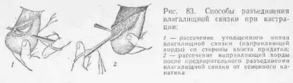 Шістнадцяте лабораторно-практичне заняття (шістнадцяте) Шістнадцяте лабораторно-практичне заняття