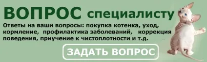 Шість принципів виховання (шість принципів виховання) Шість принципів виховання
