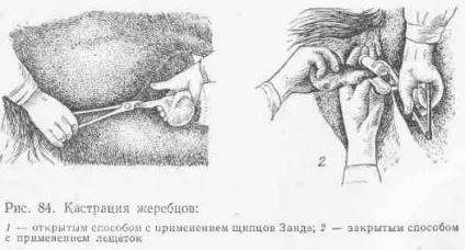 Шістнадцяте лабораторно-практичне заняття (лабораторно-практичне) Шістнадцяте лабораторно-практичне заняття