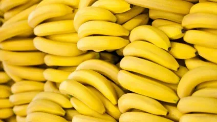 Лужні продукти харчування (харчування) Лужні продукти харчування
