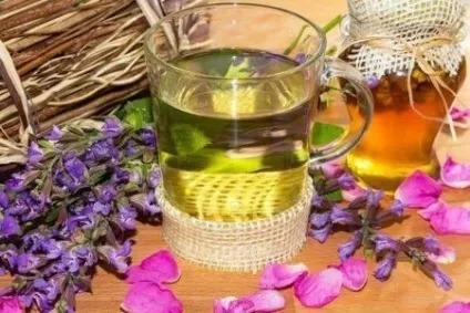 Шавлія для особи маска, масло, настій, відвар шавлії для шкіри обличчя, відгуки (настій) Шавлія для особи маска, масло, настій, відвар шавлії для шкіри обличчя, відгуки