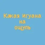 Як зробити пазли малюкові своїми руками, чоловічки (настільні ігри для дітей) Як зробити пазли малюкові своїми руками, чоловічки