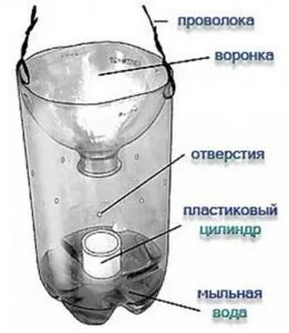 Як зробити пастку для ос своїми руками, кращі конструкції (пастку) Як зробити пастку для ос своїми руками, кращі конструкції