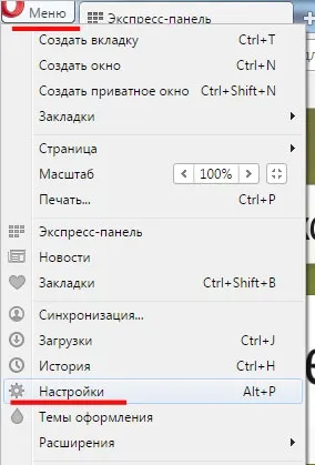 Як зробити сторінку стартовою google chrome, mozilla firefox, opera (сторінку) Як зробити сторінку стартовою google chrome, mozilla firefox, opera