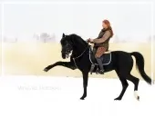 Як утримувати коня