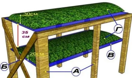 Як збирати і сушити мох, builderclub (збирати) Як збирати і сушити мох, builderclub