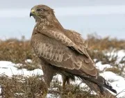 Як стати негідником