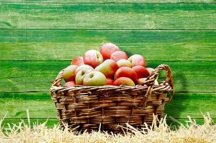Як сушити яблука в домашніх умовах покрокова інструкція (кулінарія) Як сушити яблука в домашніх умовах покрокова інструкція