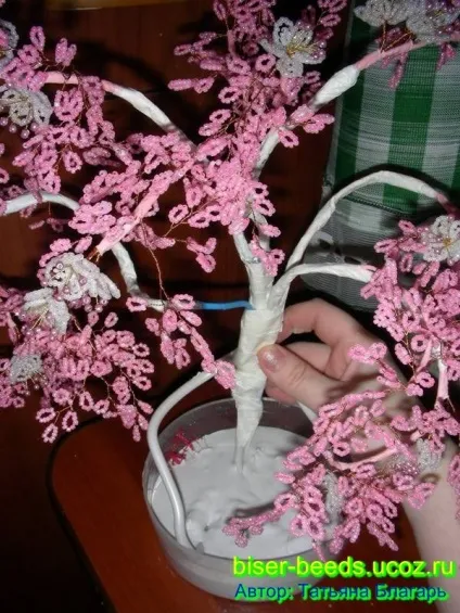 Як сплести дерево сакуру з бісеру своїми руками (сакуру) Як сплести дерево сакуру з бісеру своїми руками