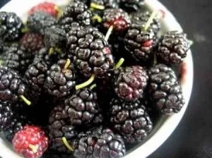 Як поліпшити кровообіг народними засобами (засобами) Як поліпшити кровообіг народними засобами