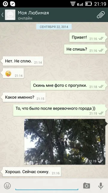 Як встановити ватсап (whatsapp) на телефон докладний посібник (whatsapp) Як встановити ватсап (whatsapp) на телефон докладний посібник