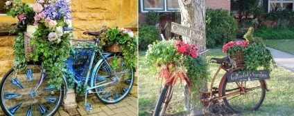 Як прикрасити дачну ділянку квітами - фото з описом (квіти) Як прикрасити дачну ділянку квітами - фото з описом