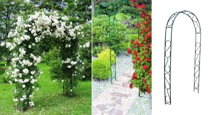 Як прикрасити дачну ділянку квітами - фото з описом (квіти і клумби) Як прикрасити дачну ділянку квітами - фото з описом