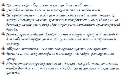 Як прикрасити дачну ділянку квітами - фото з описом (мої дачі) Як прикрасити дачну ділянку квітами - фото з описом