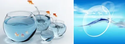 Як вибрати контактні лінзи (вибрати) Як вибрати контактні лінзи
