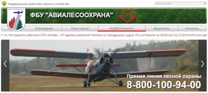 Як дізнатися реальну площу лісової пожежі за допомогою космічного моніторингу, лісовий патруль (космічний) Як дізнатися реальну площу лісової пожежі за допомогою космічного моніторингу, лісовий патруль