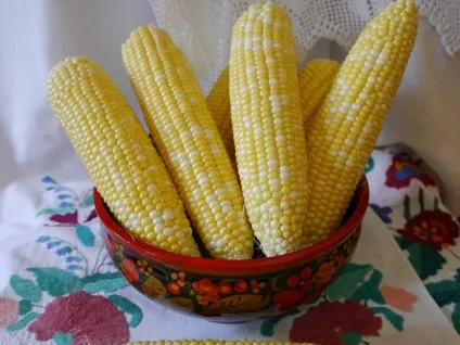Як вибрати кукурудзу