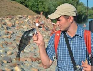 Як вибрати ультралайт спінінг вудлище (тест, лад, довжина) і котушку (вибрати) Як вибрати ультралайт спінінг вудлище (тест, лад, довжина) і котушку