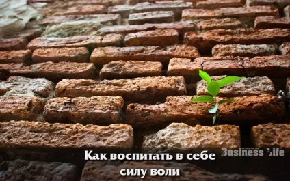 Як виховати в собі силу волі (білизна інтернет-магазині POSTELNOEBELYO) Як виховати в собі силу волі