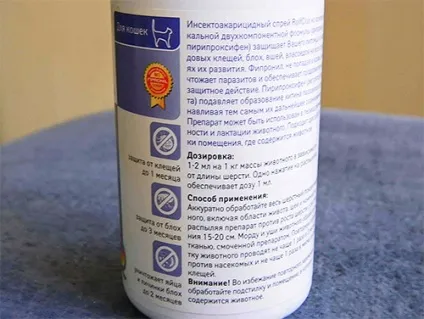 Як вивести бліх у кота