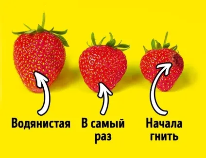 Як вибрати смачну полуницю