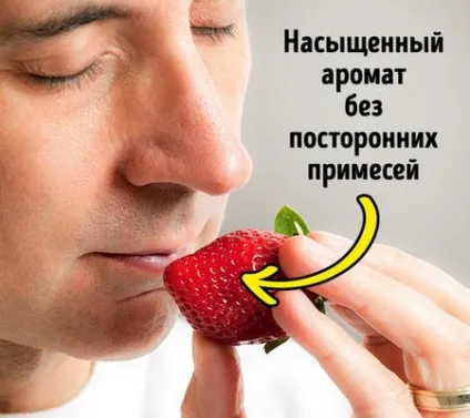Як вибрати смачну полуницю