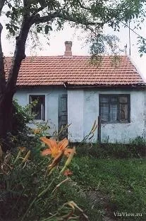 Як закрити щілини в черепичним даху - відповіді і поради на твої питання