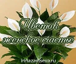 Як підбадьоритися і отримати заряд енергії, блог Ірини Зайцевої (як підбадьоритися і отримати заряд енергії?) Як підбадьоритися і отримати заряд енергії, блог Ірини Зайцевої