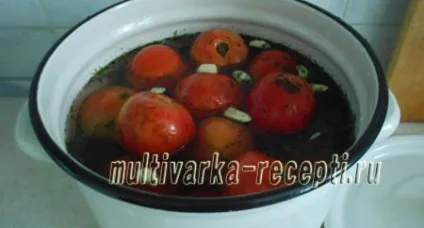 Як засолити помідори в каструлі (бочкові помідори в каструлі) Як засолити помідори в каструлі