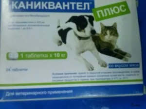 Каніквантел плюс