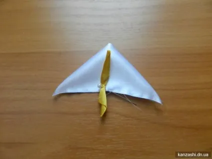 Кали канзаші