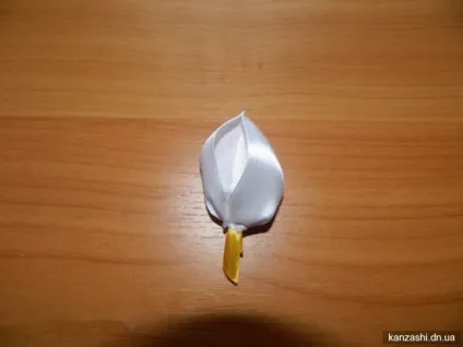 Кали канзаші