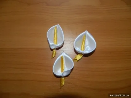 Кали канзаші
