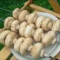 Картопля на мангалі - з салом і в фользі на шампурах (мангалі) Картопля на мангалі - з салом і в фользі на шампурах