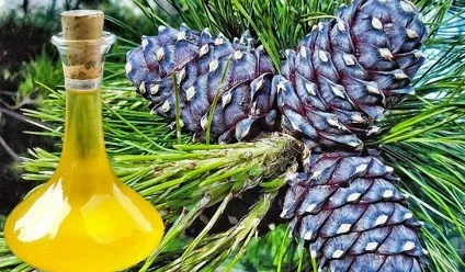 Кедрові горіхи - корисні властивості (кедрові) Кедрові горіхи - корисні властивості
