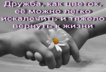 Картинки про друзів з написами (друзів) Картинки про друзів з написами
