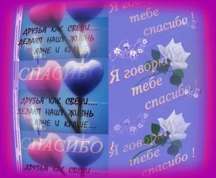 Картинки про друзів з написами (друзів) Картинки про друзів з написами