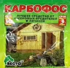 Клопи в дивані