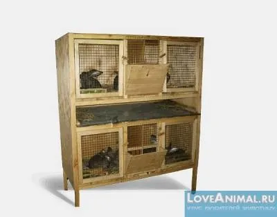 Клітка для кроликів